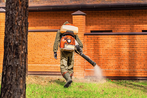 Trusted Cockroach Control service in Shaker Heights, OH - Nex Pest Control